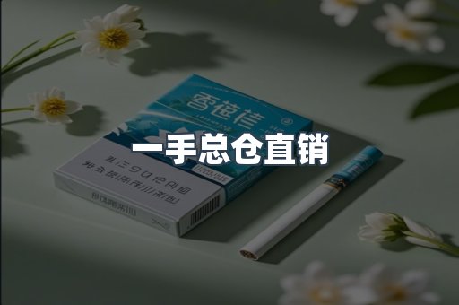 一手总仓直销